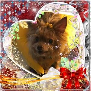 Meet your Posher, Phyllis